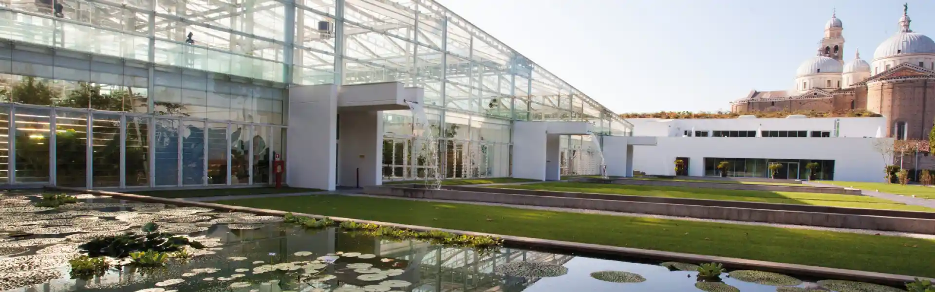 Jardin Botanique de Padoue : Voyage dans Histoire et Nature