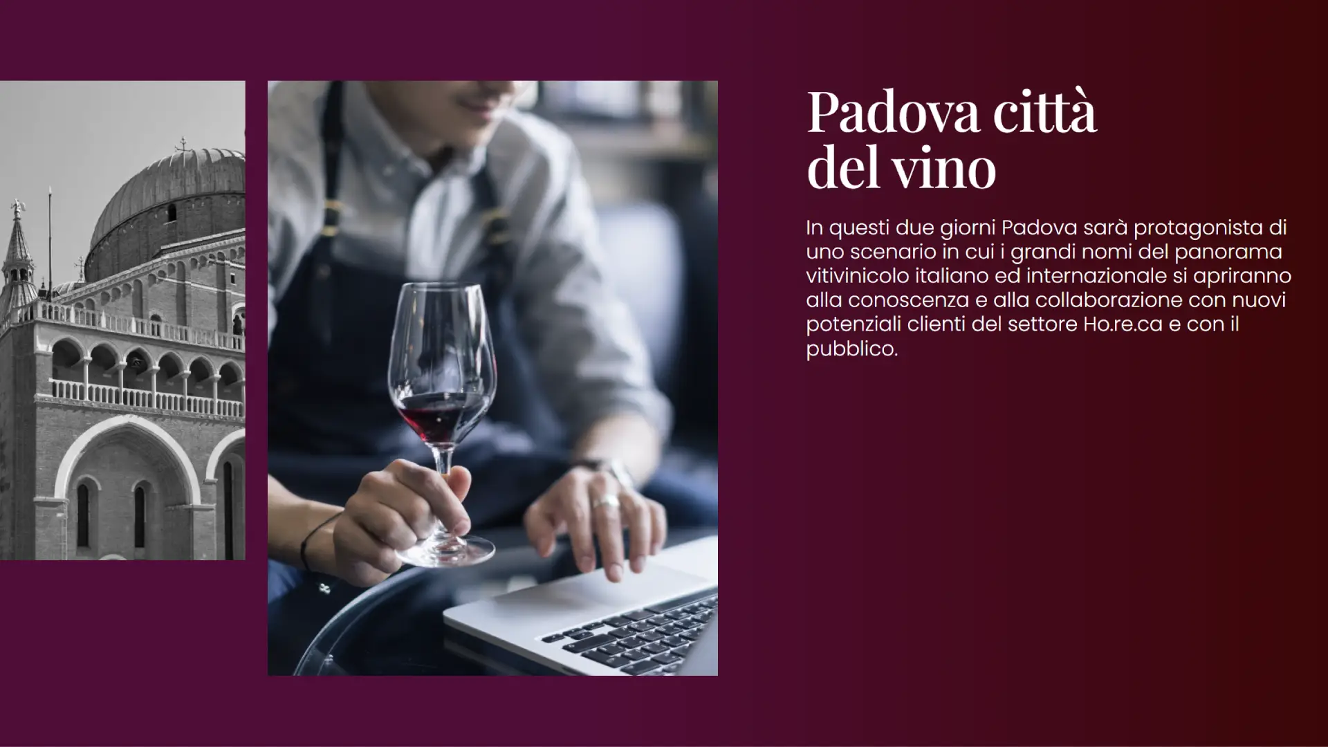 Wine Next Padova- Sabato 20 a lunedì 22 settembre 2025