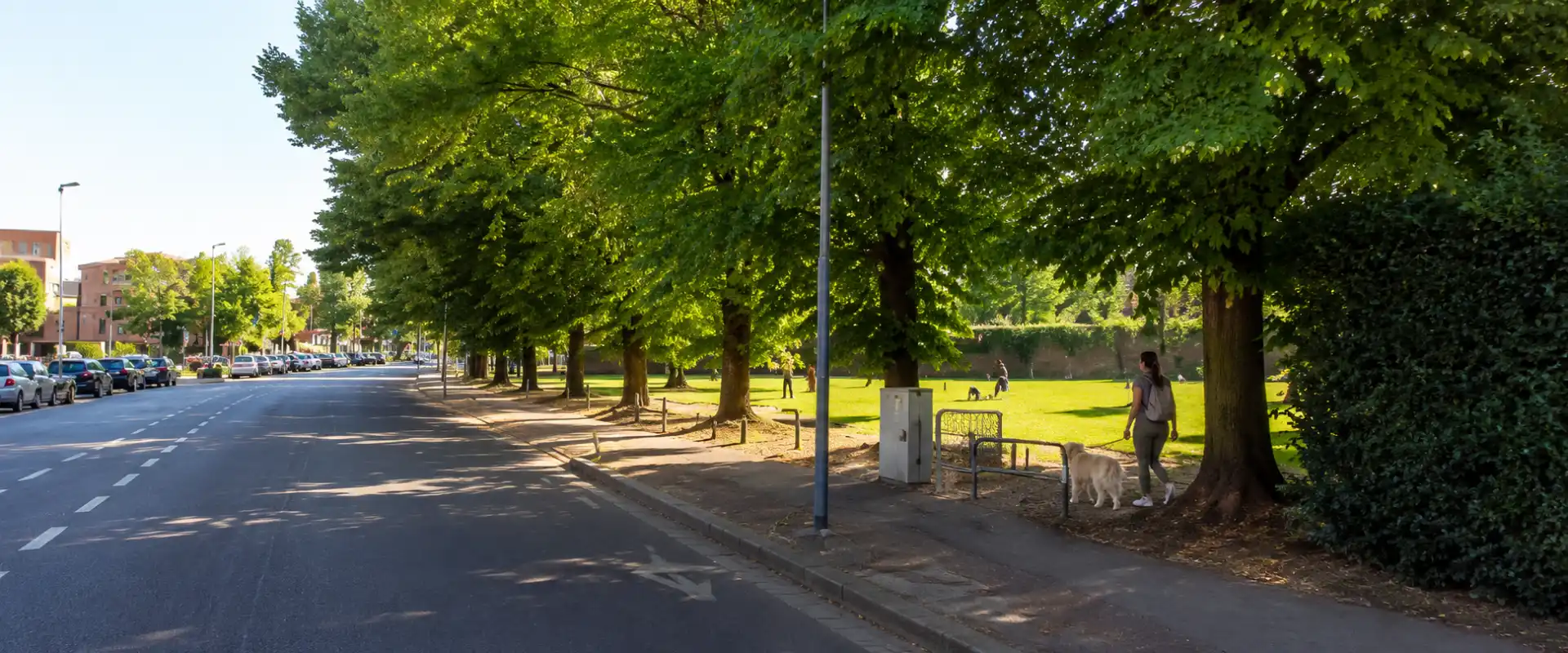 Dog-Friendly Parks in Padua: Green Spaces Near the City Centre