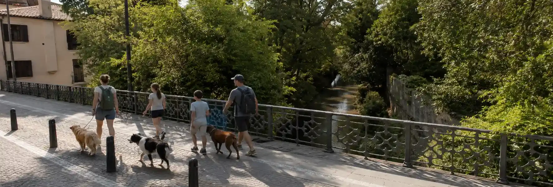 Pet friendly a Padova: soggiornare con il proprio pet