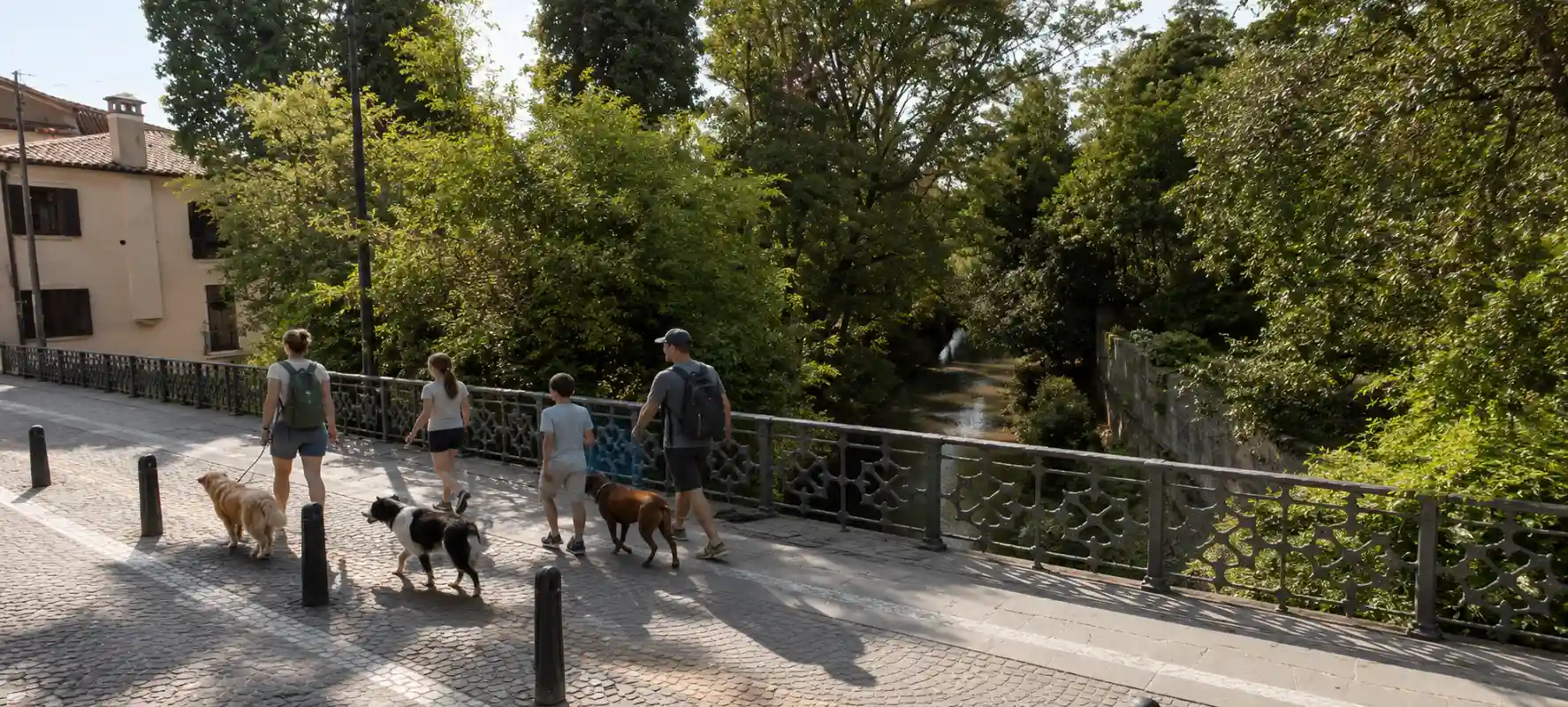 Pet Friendly in Padua: Stay with Your Pet at Hotel Giotto