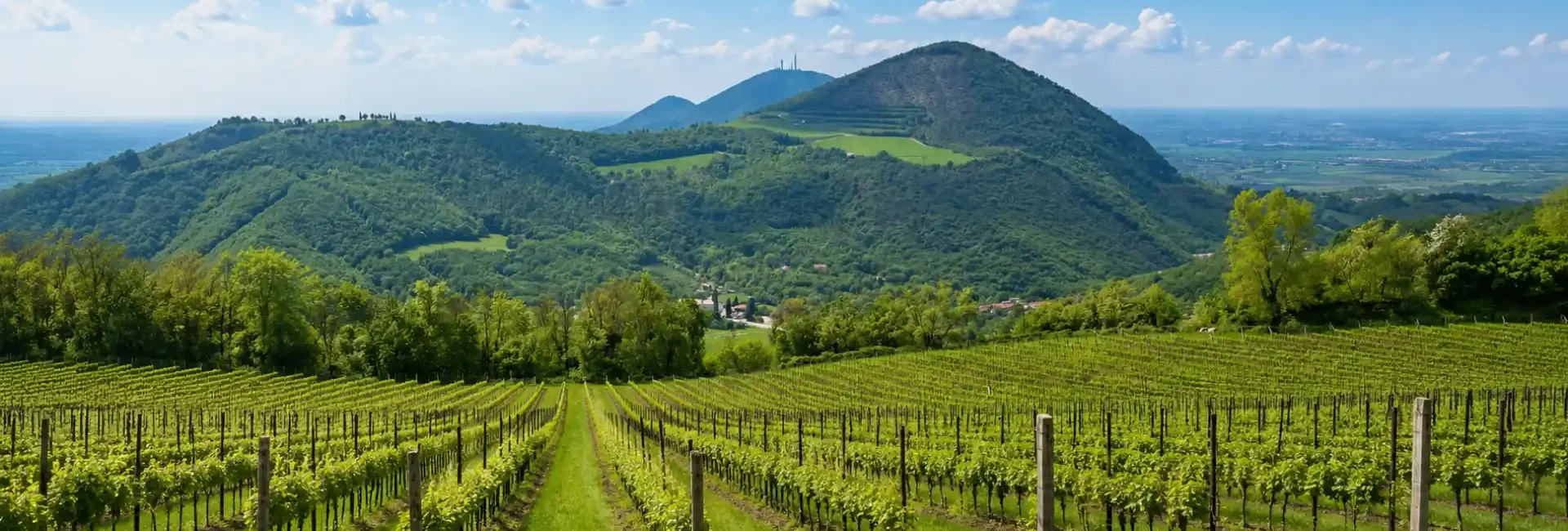 Visitare i Colli Euganei: hotel comodo per scoprirli