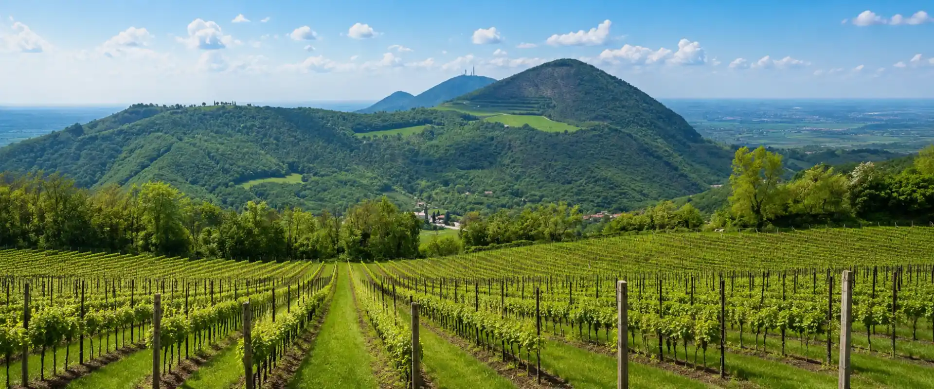 Visit the Euganean Hills: A Convenient Hotel in Padua